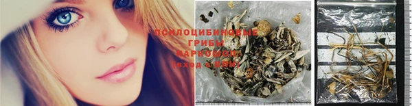 хмурый Пестово